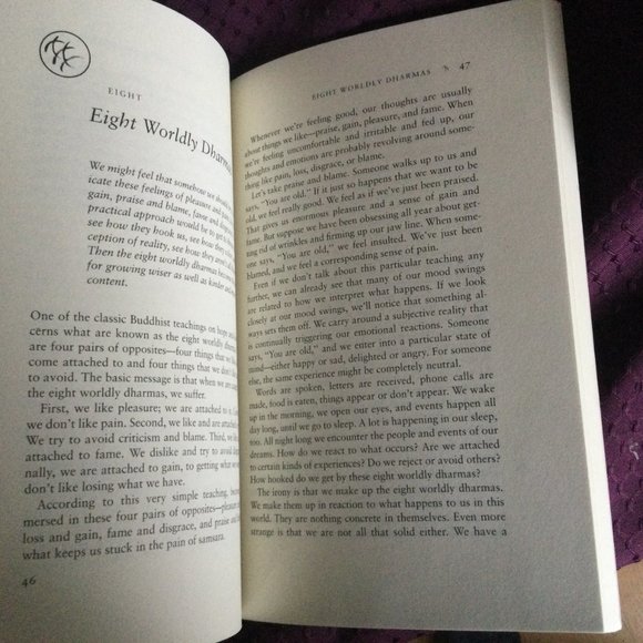 Pema Chodron When Things Fall Apart Paperback Buudhist - Picture 2 of 8